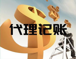 臨沂會計(jì)代理記賬公司 一站式專業(yè)服務(wù)助力企業(yè)高效發(fā)展